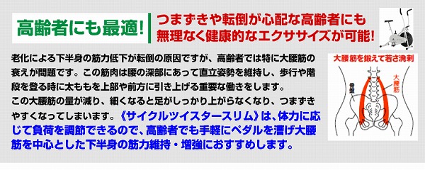 cycle-a (8).jpg(82758 byte)